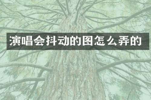 演唱会抖动的图怎么弄的