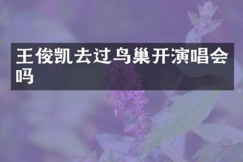 王俊凯去过鸟巢开演唱会吗