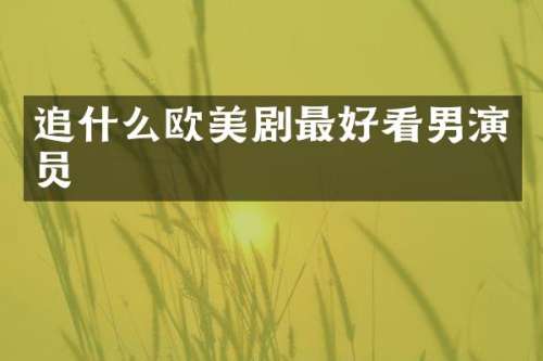 追什么欧美剧最好看男演员