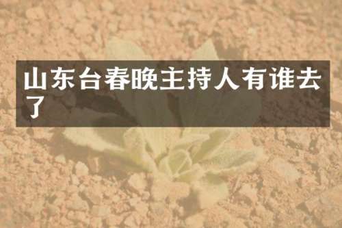 山东台主持人有谁去了
