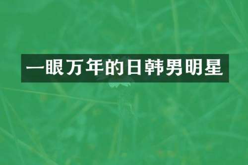 一眼万年的日韩男明星
