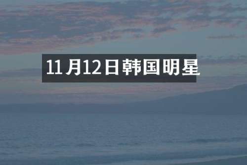 11月12日韩国明星
