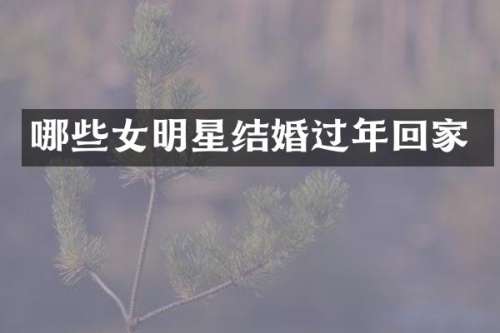 哪些女明星结婚过年回家