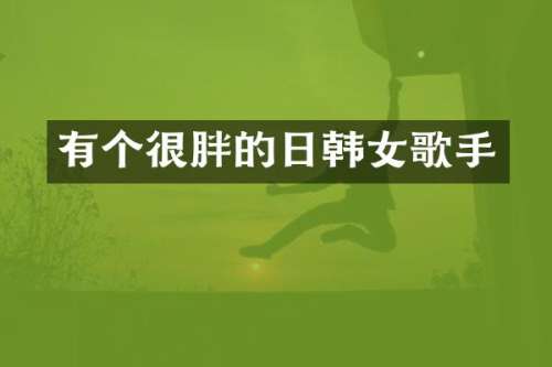 有个很胖的日韩女歌手