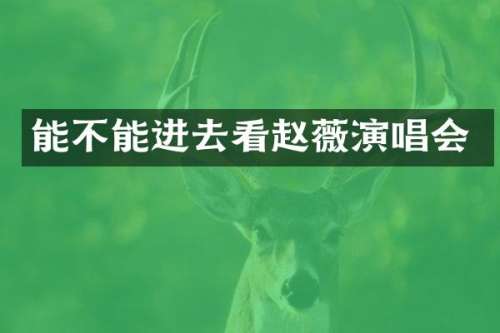 能不能进去看赵薇演唱会