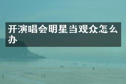 开演唱会明星当观众怎么办