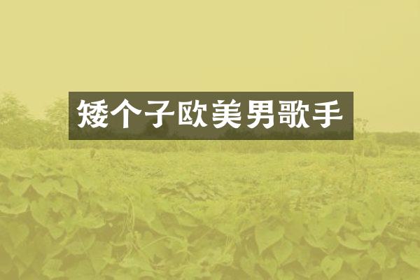 矮个子欧美男歌手