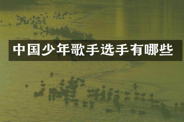 中国少年歌手选手有哪些