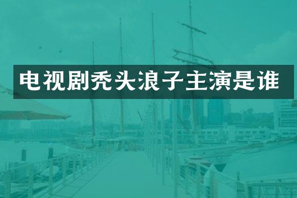 电视剧秃头浪子主演是谁