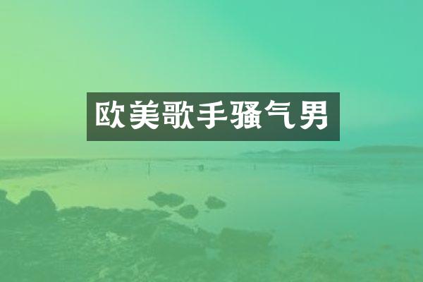 欧美歌手气男