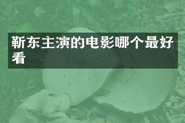 主演的电影哪个最好看