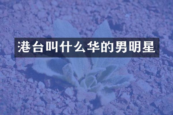 港台叫什么华的男明星