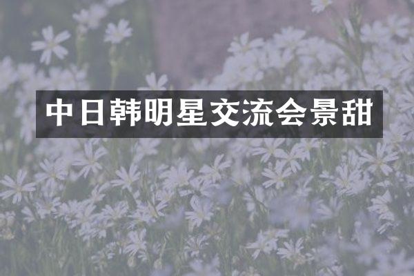 中日韩明星交流会景甜
