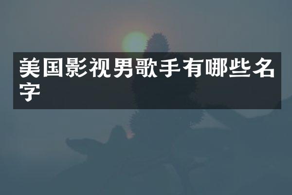 美国影视男歌手有哪些名字