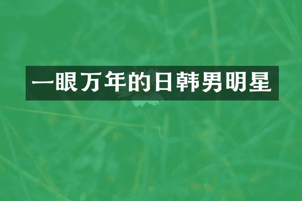 一眼万年的日韩男明星
