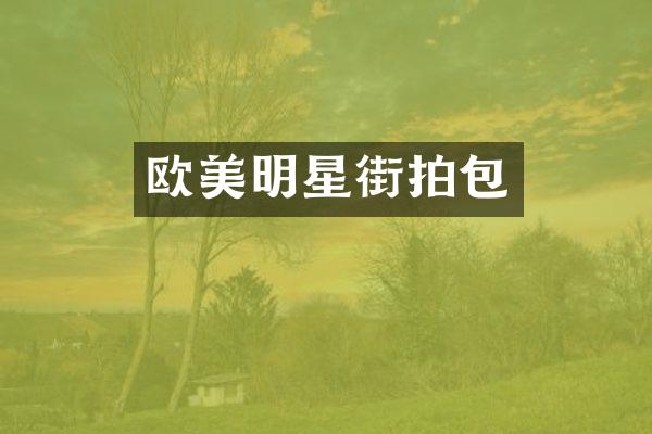 欧美明星街拍包