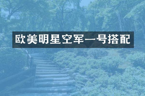 欧美明星空军一号搭配