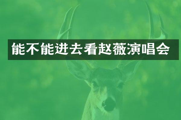 能不能进去看赵薇演唱会