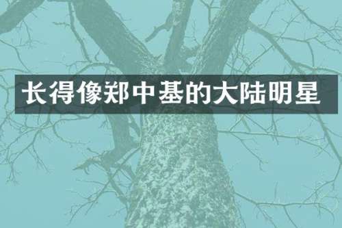 长得像郑中基的大陆明星