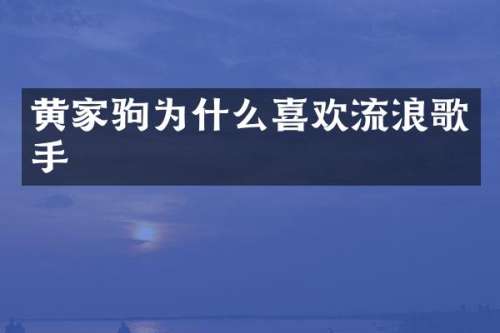 黄家驹为什么喜欢流浪歌手