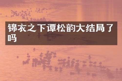 锦衣之下谭松韵大结局了吗