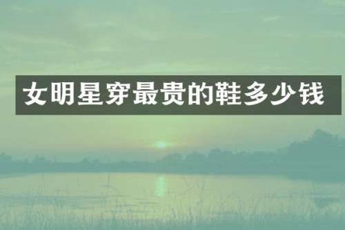 女明星穿最贵的鞋多少钱