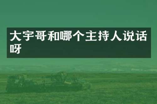大宇哥和哪个主持人说话呀