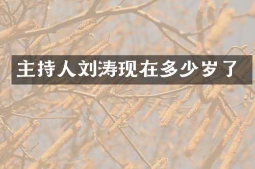 主持人刘涛现在了