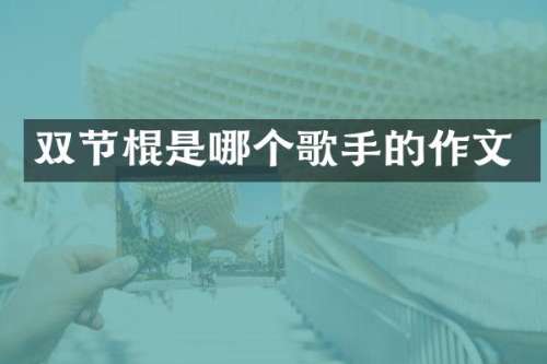 是哪个歌手的作文