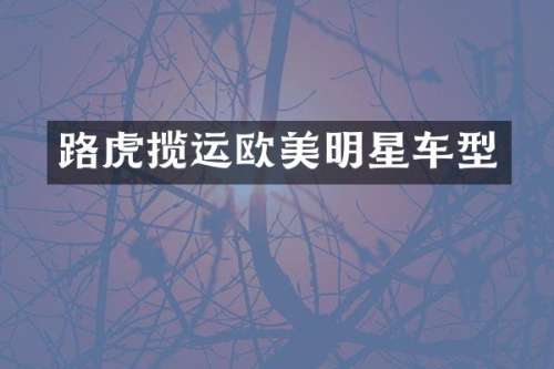 路虎揽运欧美明星车型