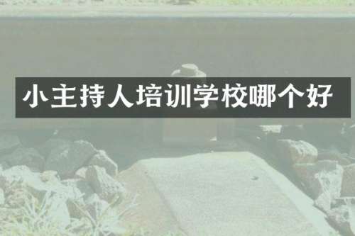 小主持人培训学校哪个好