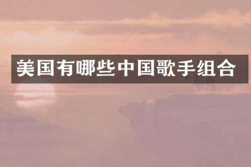 美国有哪些中国歌手组合