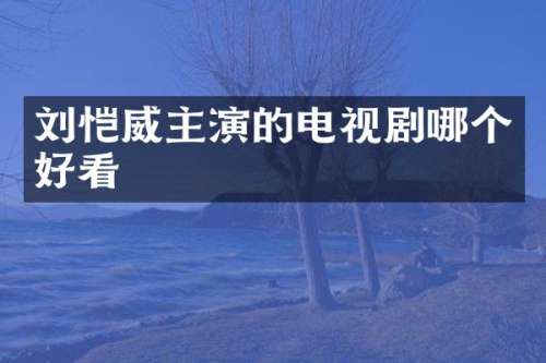 刘恺威主演的电视剧哪个好看