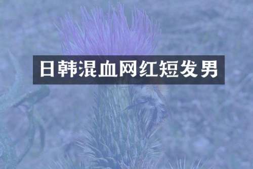 日韩混血网红短发男