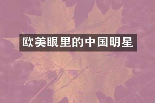 欧美眼里的中国明星