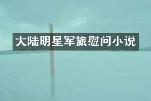 大陆明星军旅慰问小说