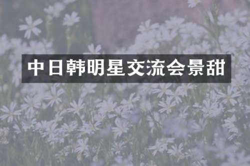 中日韩明星交流会景甜