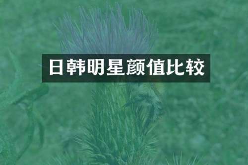 日韩明星颜值比较