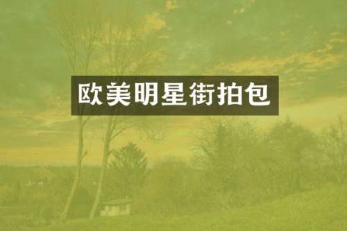 欧美明星街拍包