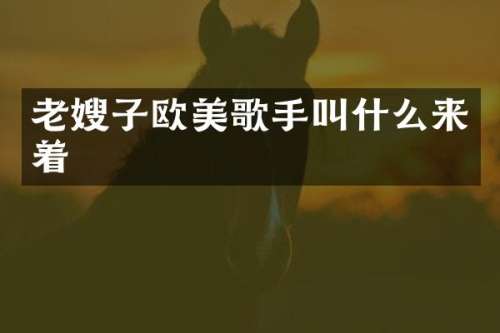 老嫂子欧美歌手叫什么来着