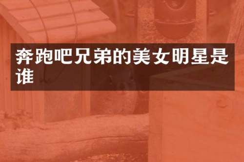 奔跑吧兄弟的明星是谁