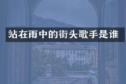 站在雨中的街头歌手是谁