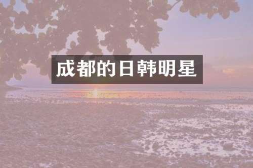 成都的日韩明星