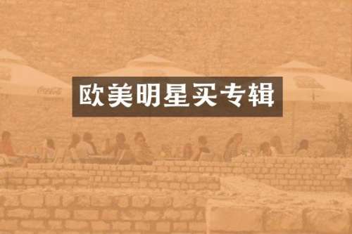 欧美明星买专辑