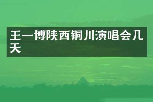 王一博陕西铜川演唱会几天