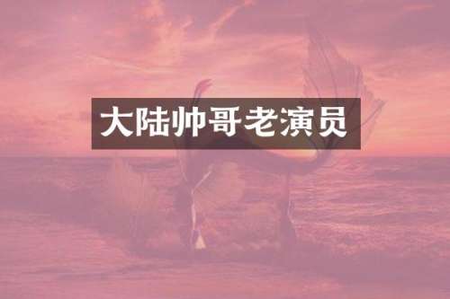 大陆帅哥老演员