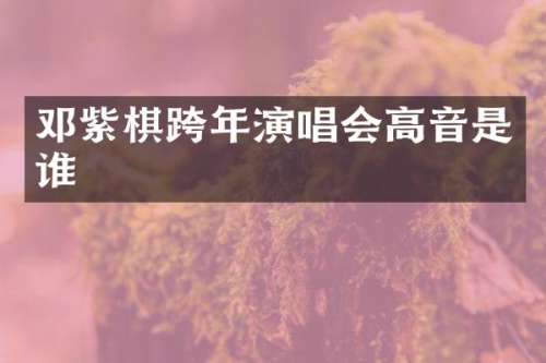 邓紫棋跨年演唱会高音是谁