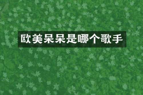欧美呆呆是哪个歌手