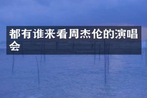 都有谁来看周杰伦的演唱会