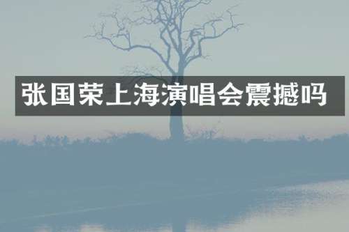 张国荣上海演唱会震撼吗